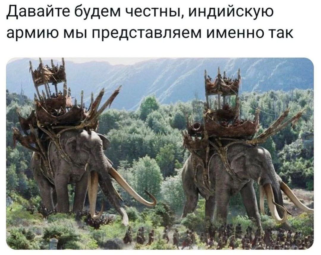 Давайте будем честны, индийскую армию мы представляем именно так