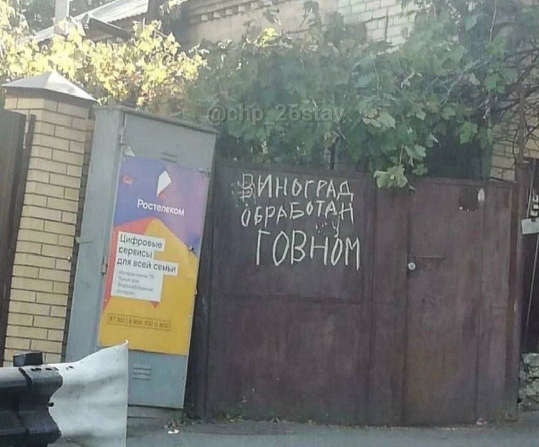 ВИНОГРАД ОБРАБОТАН ГОВНОМ