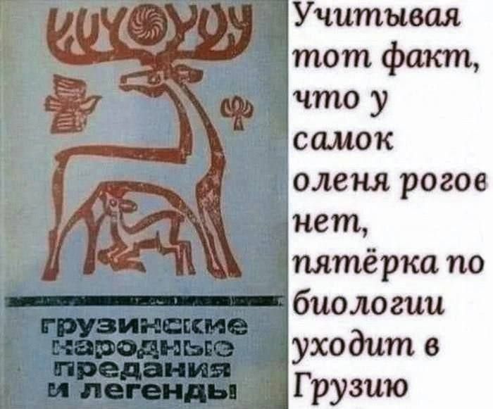 Учитывая тот факт, что у самок оленя рогов нет, пятёрка по биологии уходит в Грузию