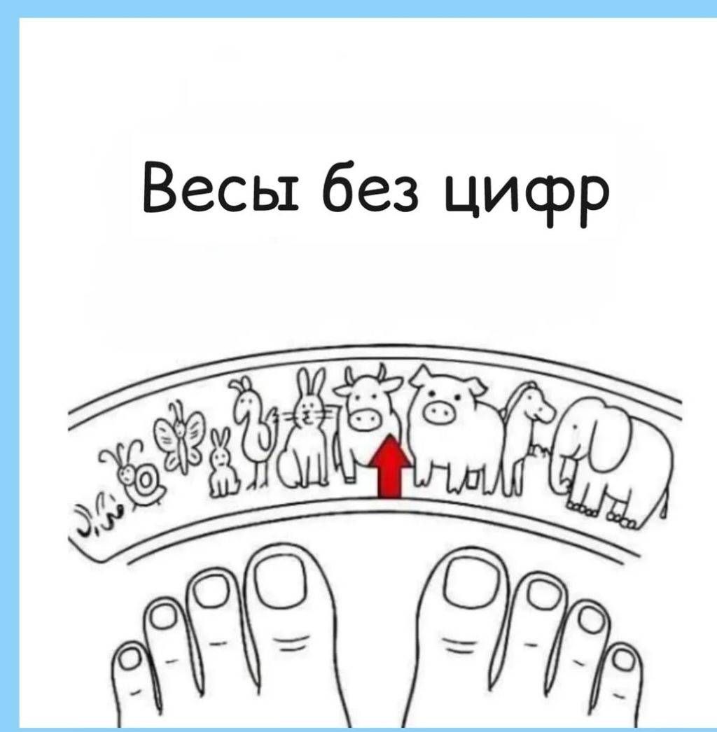 Весы без цифр