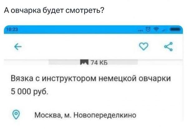 А овчарка будет смотреть?
Вязка с инструктором немецкой овчарки 5 000 руб.
Москва, м. Новопеределкино