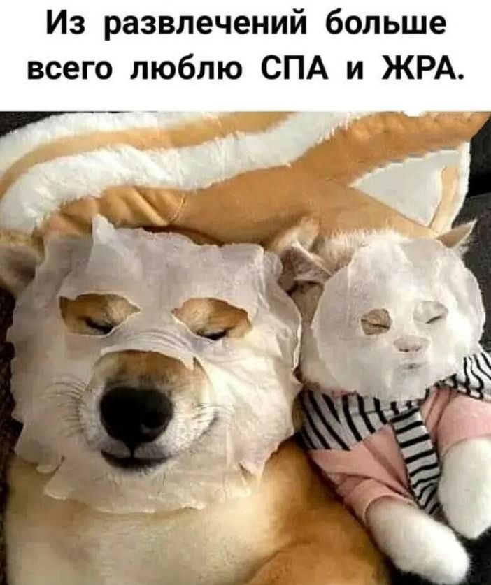 Из развлечений больше всего люблю СПА и ЖРА.