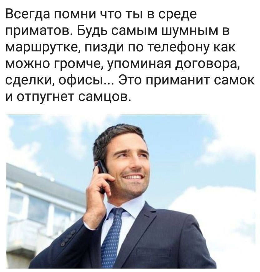 Всегда помни что ты в среде приматов. Будь самым шумным в маршрутке, пизди по телефону как можно громче, упоминая договора, сделки, офисы... Это приманит самок и отпугнет самцов.