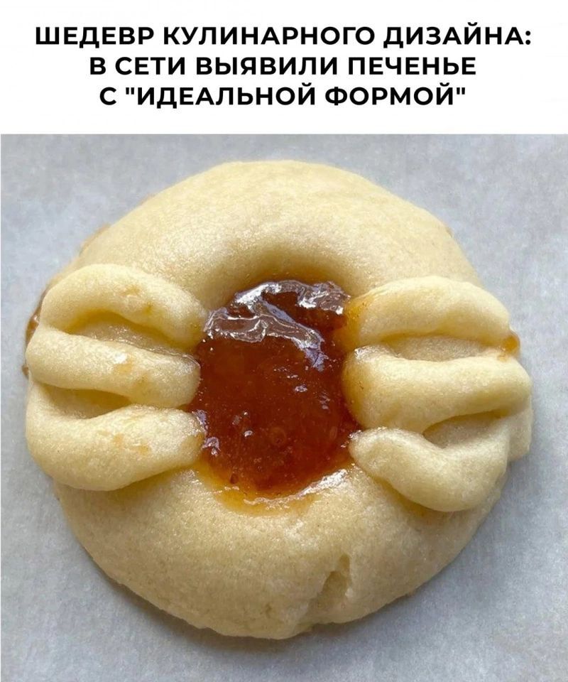 ШЕДЕВР КУЛИНАРНОГО ДИЗАЙНА: В СЕТИ ВЫЯВИЛИ ПЕЧЕНЬЕ С 