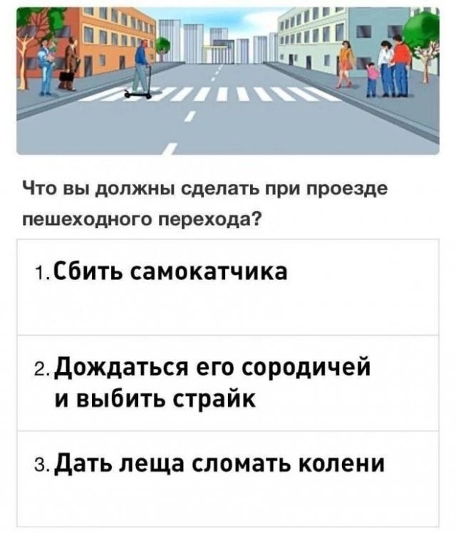 Что вы должны сделать при проезде пешеходного перехода?
1. Сбить самокатчика
2. Дождаться его сородичей и выбить страйк
3. Дать леща сломать колени
