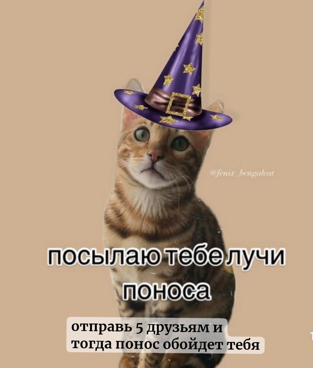 посылаю тебе лучи поноса
отправь 5 друзьям и тогда понос обойдёт тебя