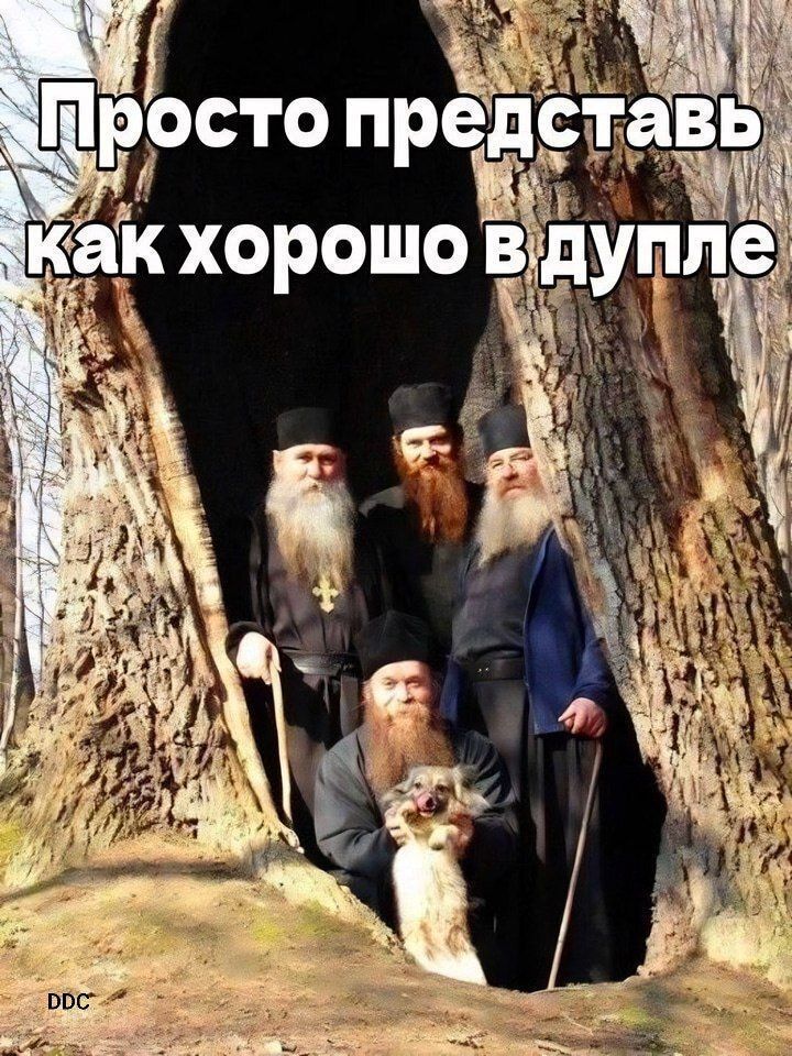 Просто представь как хорошо в дупле