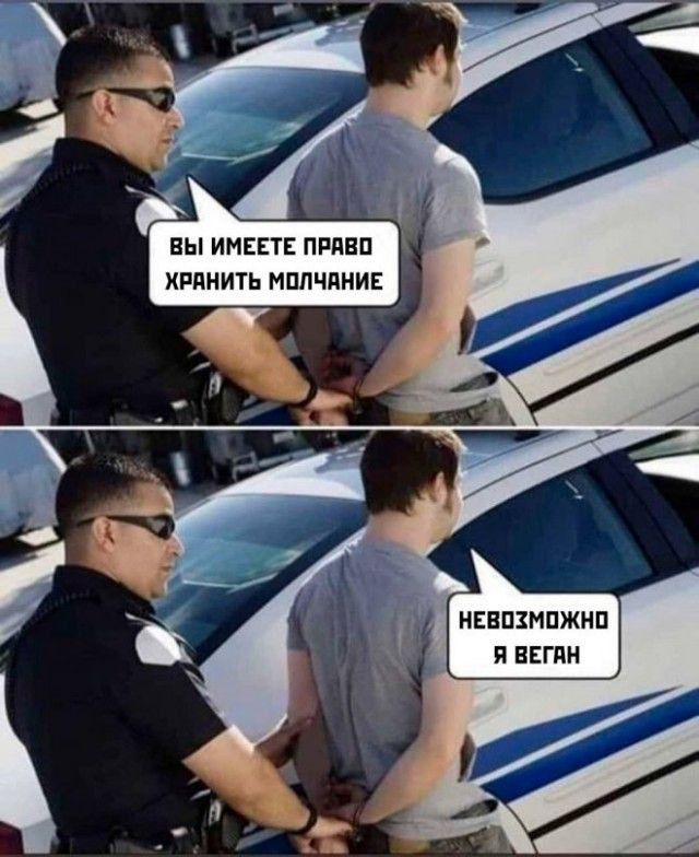 ВЫ ИМЕЕТЕ ПРАВО ХРАНИТЬ МОЛЧАНИЕ
НЕВОЗМОЖНО Я ВЕГАН