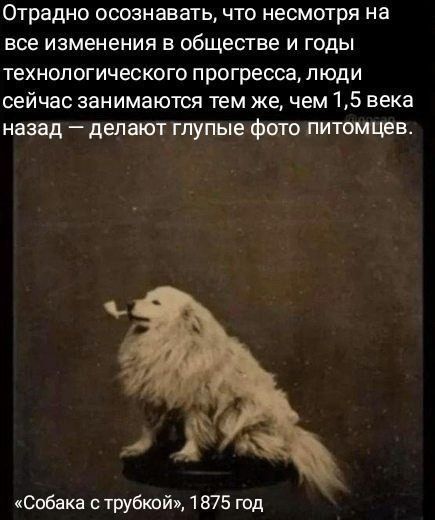 Отрадно осознавать, что несмотря на все изменения в обществе и годы технологического прогресса, люди сейчас занимаются тем же, чем 1,5 века назад — делают глупые фото питомцев.
«Собака с трубкой», 1875 год