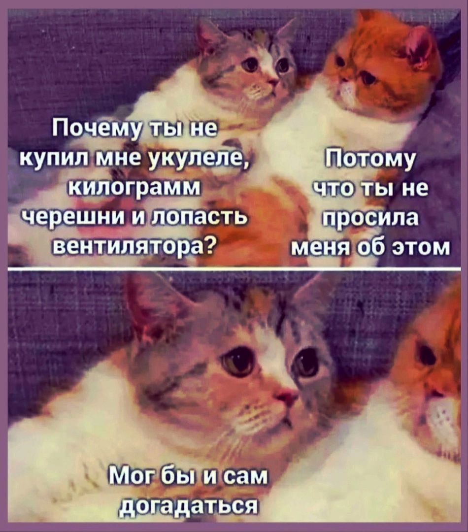 Почему ты не купил мне укулеле, килограмм черешни и лопасть вентилятора? Потому что ты не просила меня об этом
Мог бы и сам догадаться
