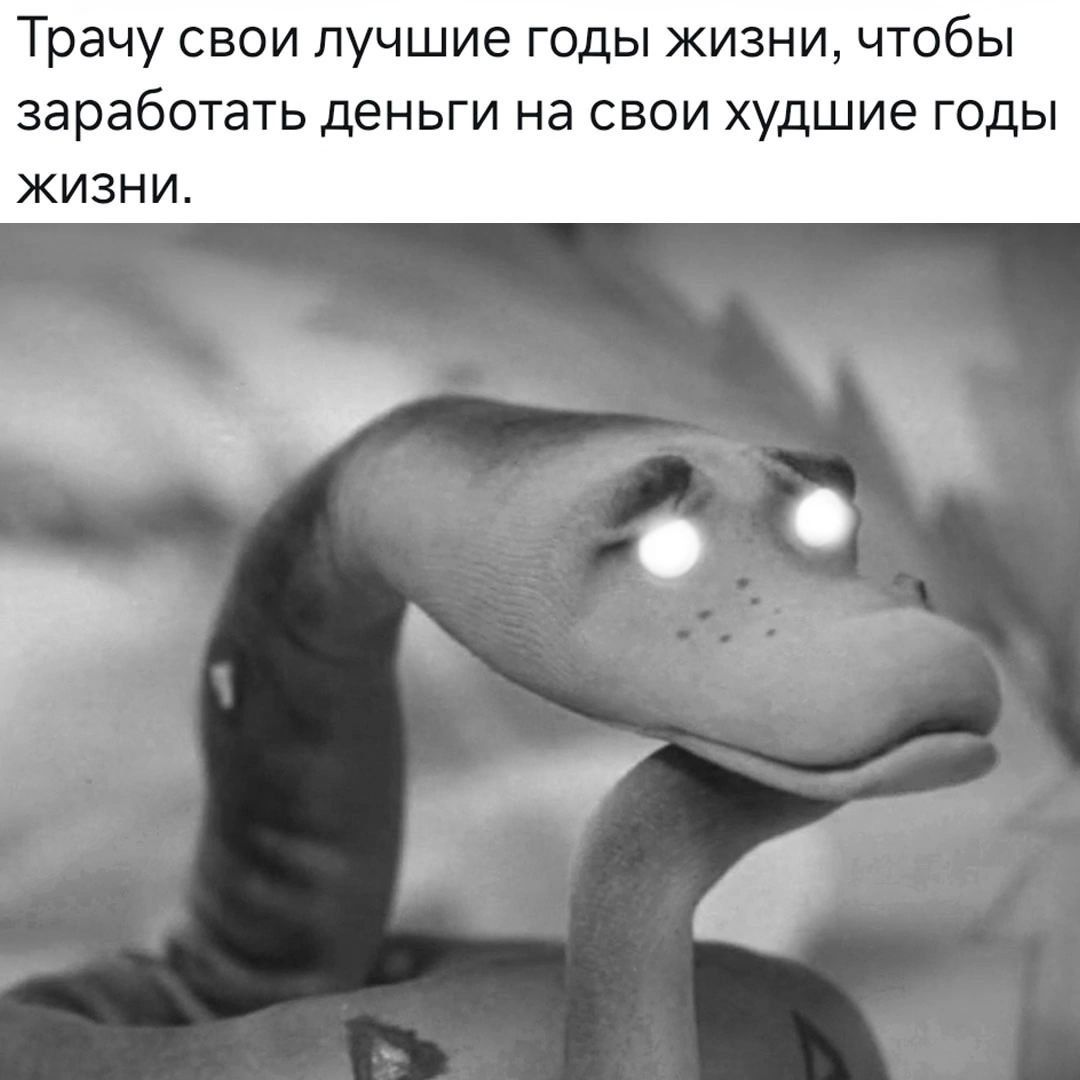 Трачу свои лучшие годы жизни, чтобы заработать деньги на свои худшие годы жизни.