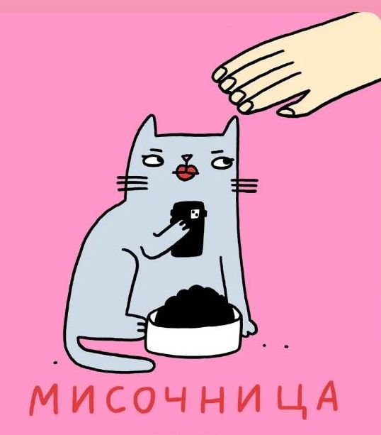 МИСОЧНИЦА