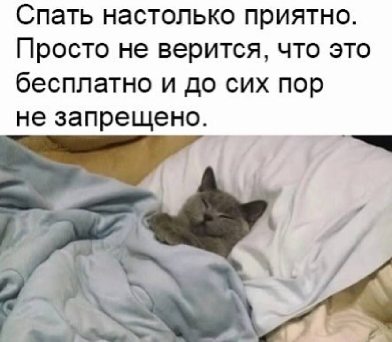 Спать настолько приятно. Просто не верится, что это бесплатно и до сих пор не запрещено.