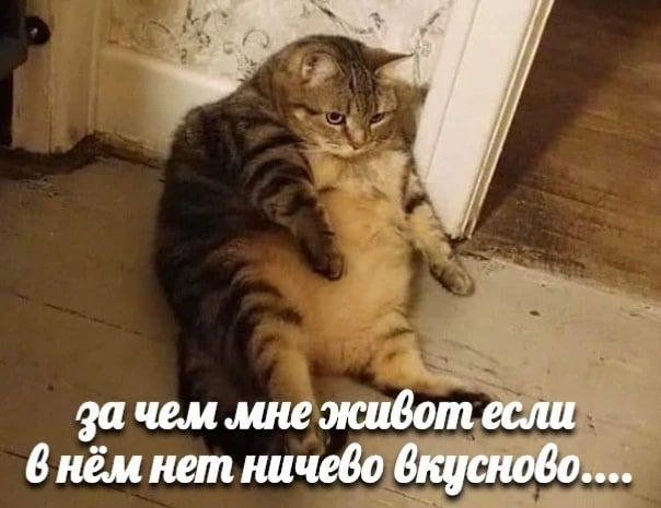 за чем мне живет если в нём нет ничего вкусного....