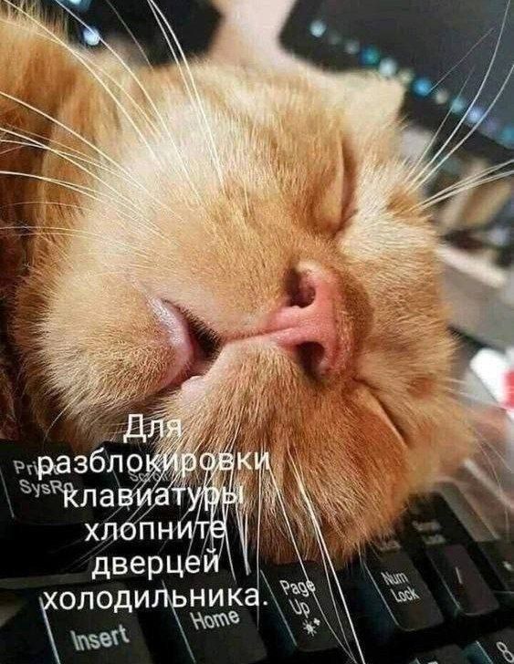 Для разблокировки клавиатуры хлопните дверцей холодильника.