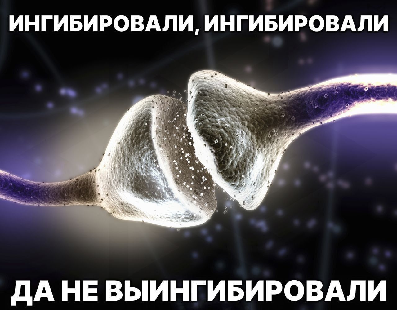 ИНГИБИРОВАЛИ, ИНГИБИРОВАЛИ
ДА НЕ ВЫИНГИБИРОВАЛИ