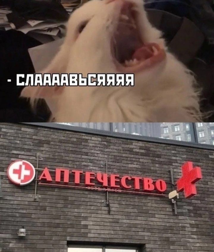 - СЛАААВЬСЯЯЯ
АПТЕЧЕСТВО