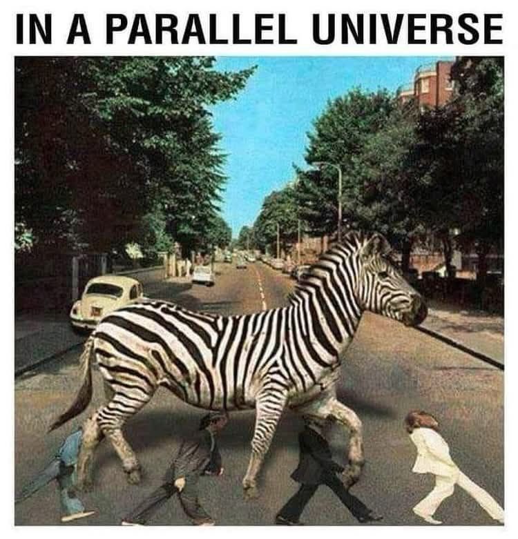 IN A PARALLEL UNIVERSE