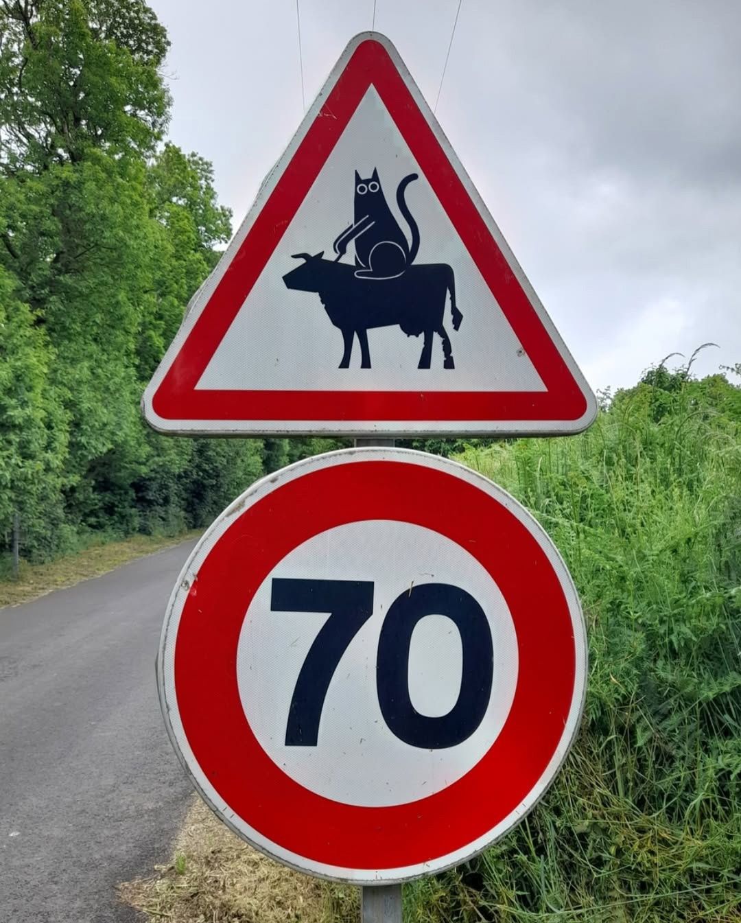 70