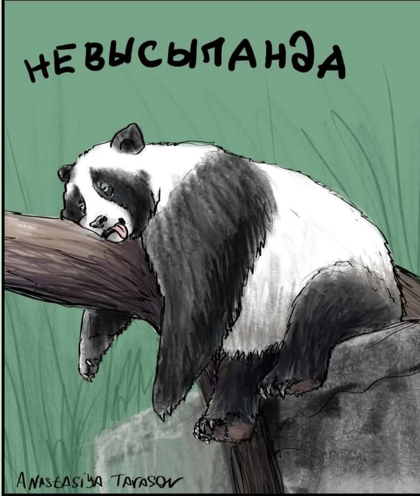 невысыпанәдə