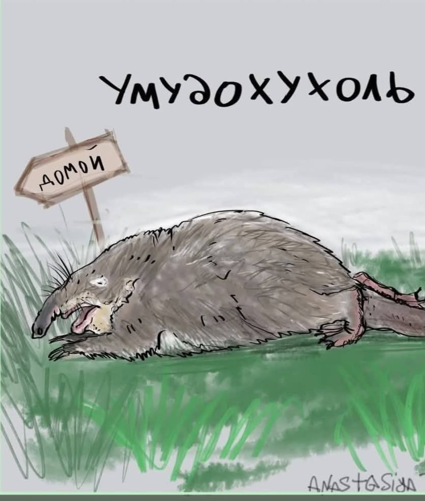 УМУДОХУХОЛЬ
ДОМОЙ