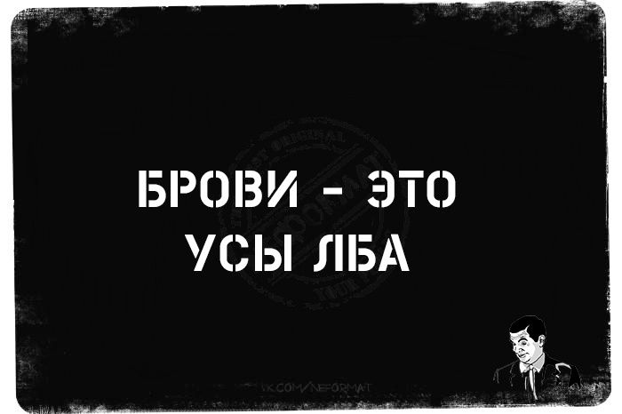 БРОВИ - ЭТО УСЫ ЛБА