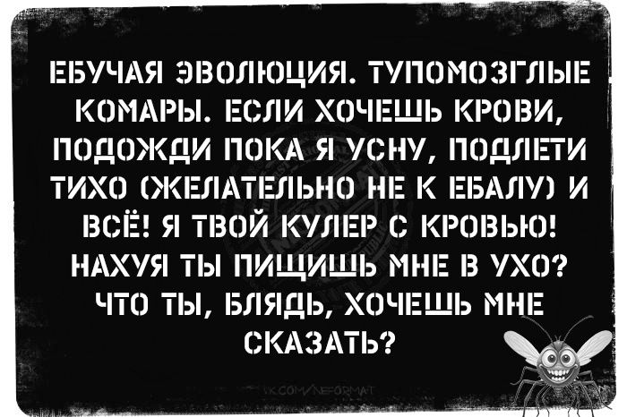 ЕБУЧАЯ ЭВОЛЮЦИЯ. ТУПОМОГЛЫЕ КОМАРЫ. ЕСЛИ ХОЧЕШЬ КРОВИ, ПОДОЙДИ ПОКА Я УСНУ, ПОДЛЕТИ ТИХО (СКЕЛЕТАЛЬНО НЕ К ЕБАЛУ) И ВСЁ! ТВОЙ КУЛЕР С КРОВЬЮ! НАХУЯ ТЫ ПИЗДИШЬ МНЕ В УХО? ЧТО ТЫ, БЛЯДЬ, ХОЧЕШЬ МНЕ СКАЗАТЬ?
