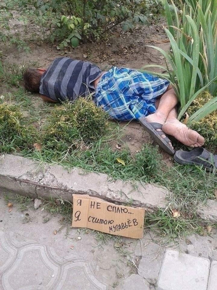Я не сплю... Я сижу, муравьёв