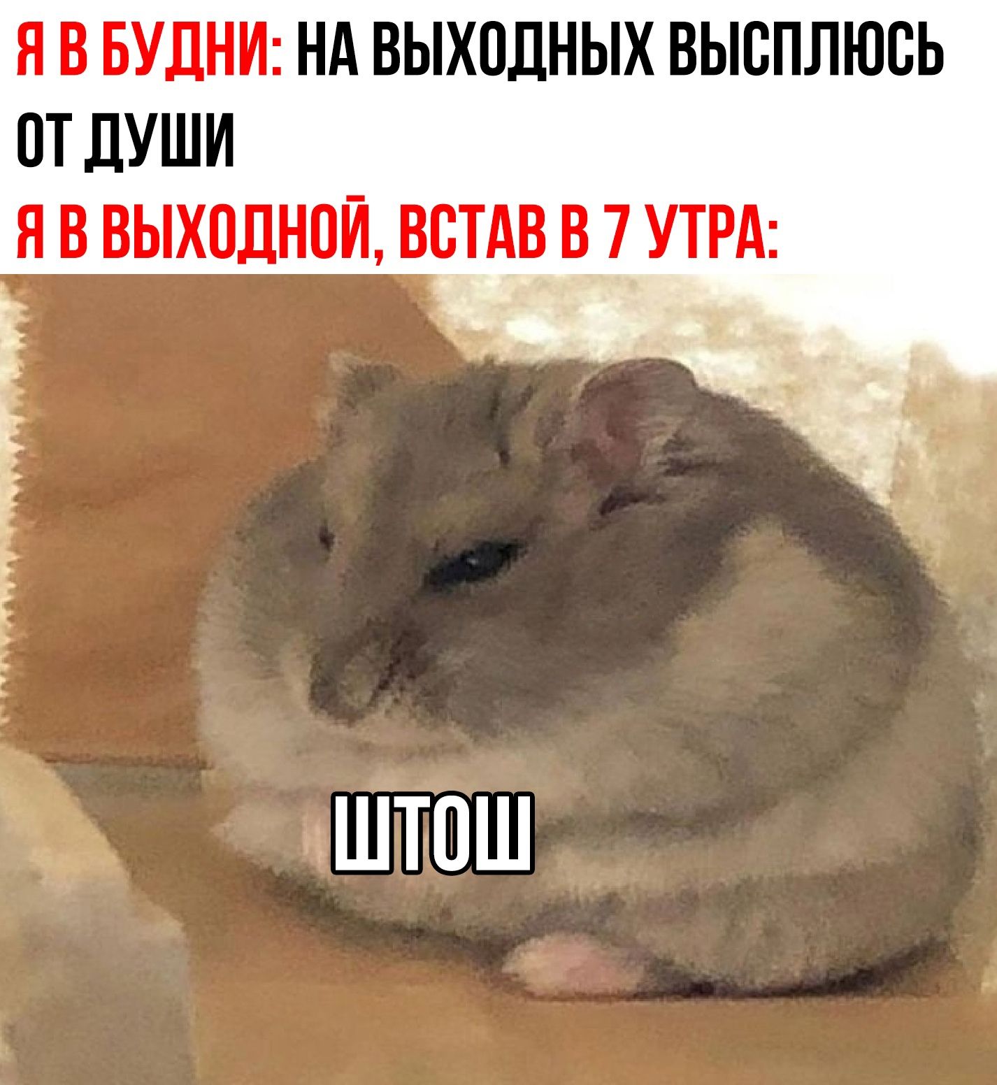 Я В БУДНИ: НА ВЫХОДНЫХ ВЫСПЛЮСЬ ОТ ДУШИ
Я В ВЫХОДНОЙ, ВСТАВ В 7 УТРА:
ШТОШ