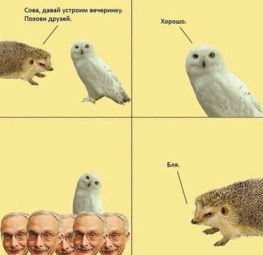 Сова, давай устроим вечеринку. Позови друзей.
Хорошо.
Бля.