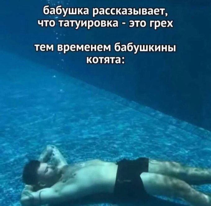 бабушка рассказывает, что татуировка - это грех
tем временем бабушкины котята: