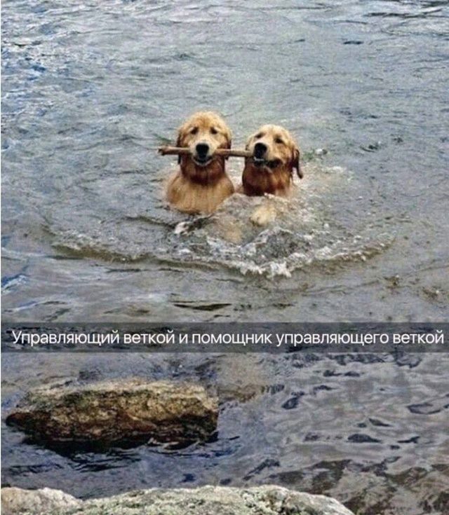 Управляющий веткой и помощник управляющего веткой