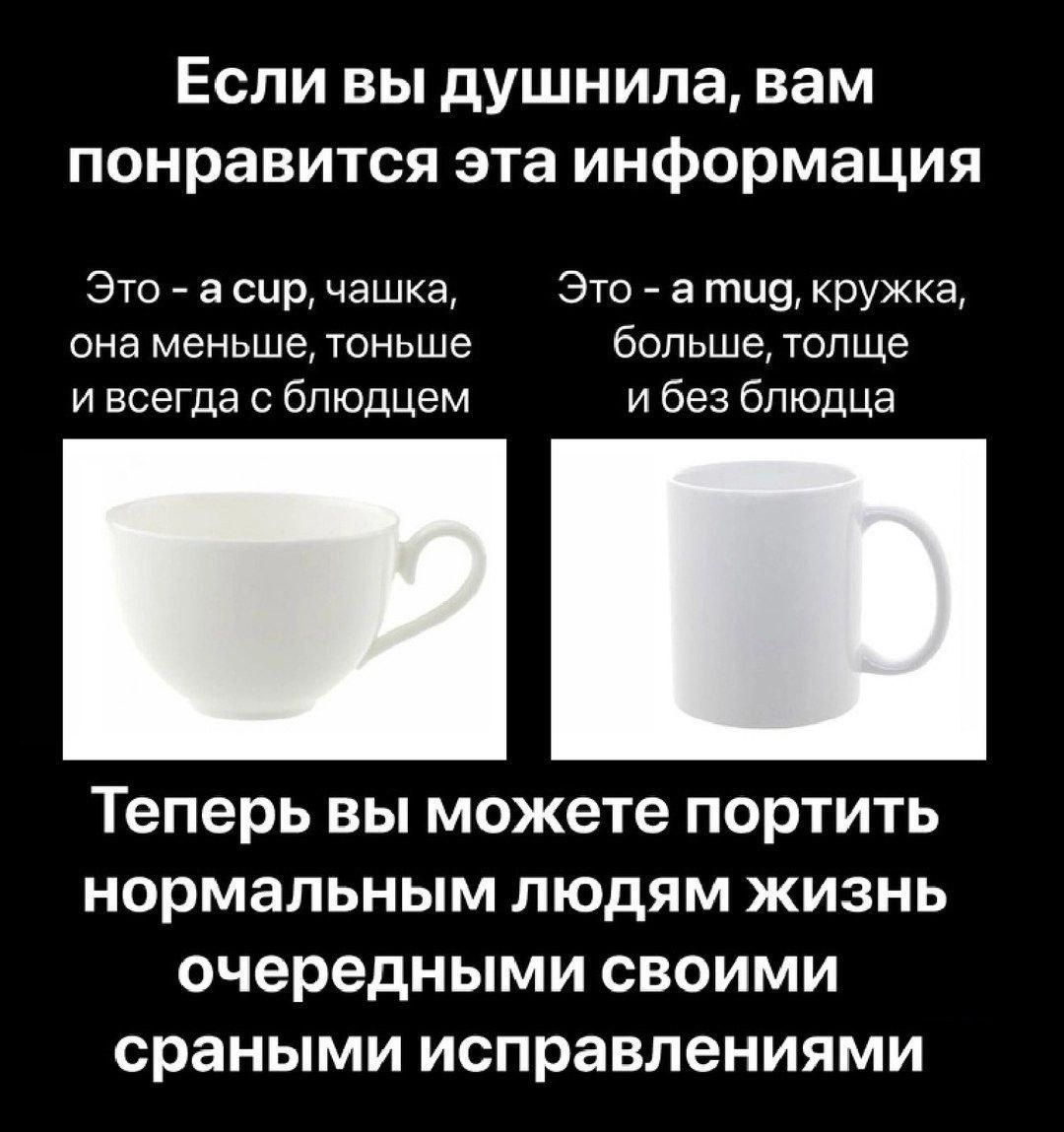 Если вы душнила, вам понравится эта информация

Это - a cup, чашка, она меньше, тоньше и всегда с блюдцем

Это - a mug, кружка, больше, толще и без блюдца

Теперь вы можете портить нормальным людям жизнь очередными своими сраными исправлениями
