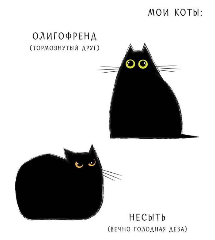 МОИ КОТЫ:

ОЛИГОФРЕН (ТОРМОЗНУТЫЙ ДРУГ)

НЕСЫТЬ (ВЕЧНО ГОЛОДНАЯ ДЕВА)