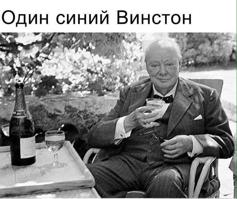 Один синий Винстон