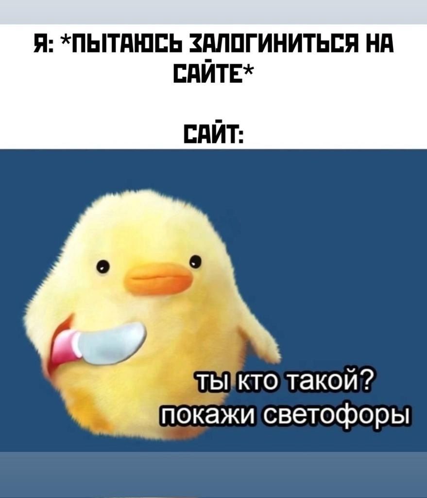 Я: *пытаюсь залогиниться на сайте* САЙТ: ты кто такой? покажи светофоры