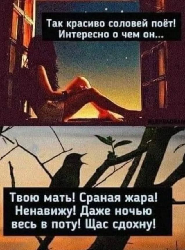Так красиво соловей поёт! Интересно о чем он...
Твою мать! Сранная жара! Ненавижу! Даже ночью весь в поту! Щас сдохну!