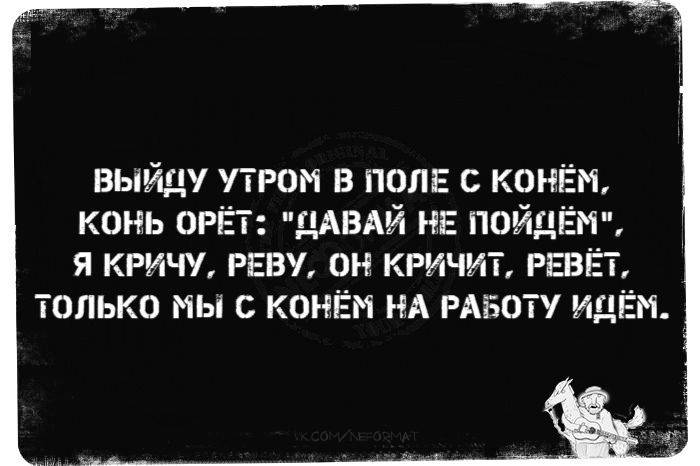 Выйду утром в поле с конём, конь орёт: 
