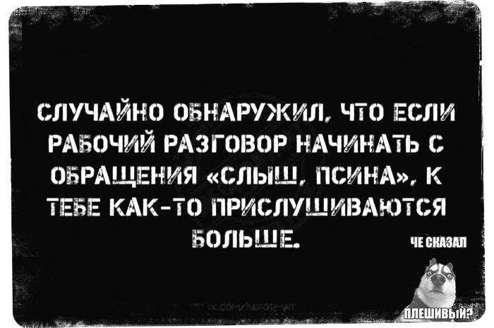 Случайно обнаружил, что если рабочий разговор начинать с обращения «Слышь, псына», к тебе как-то прислушиваются больше.