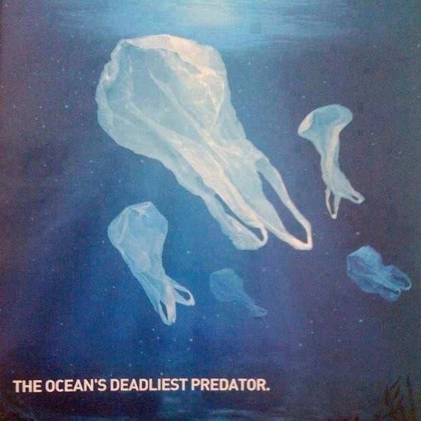 THE OCEAN'S DEADLIEST PREDATOR.