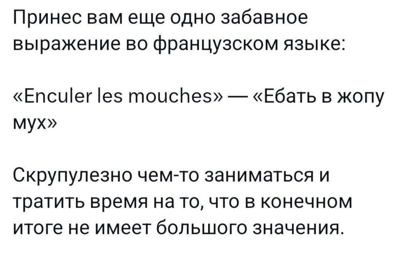 Принес вам еще одно забавное выражение во французском языке:
«Enculer les mouches» — «Ебат в жопу мух»
Скрупулезно чем-то заниматься и тратить время на то, что в конечном итоге не имеет большого значения.