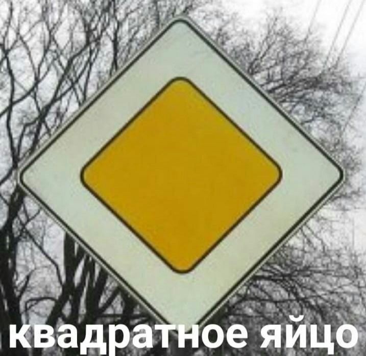 квадратное яйцо