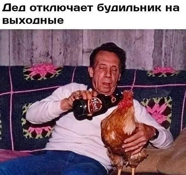 Дед отключает будильник на выходные