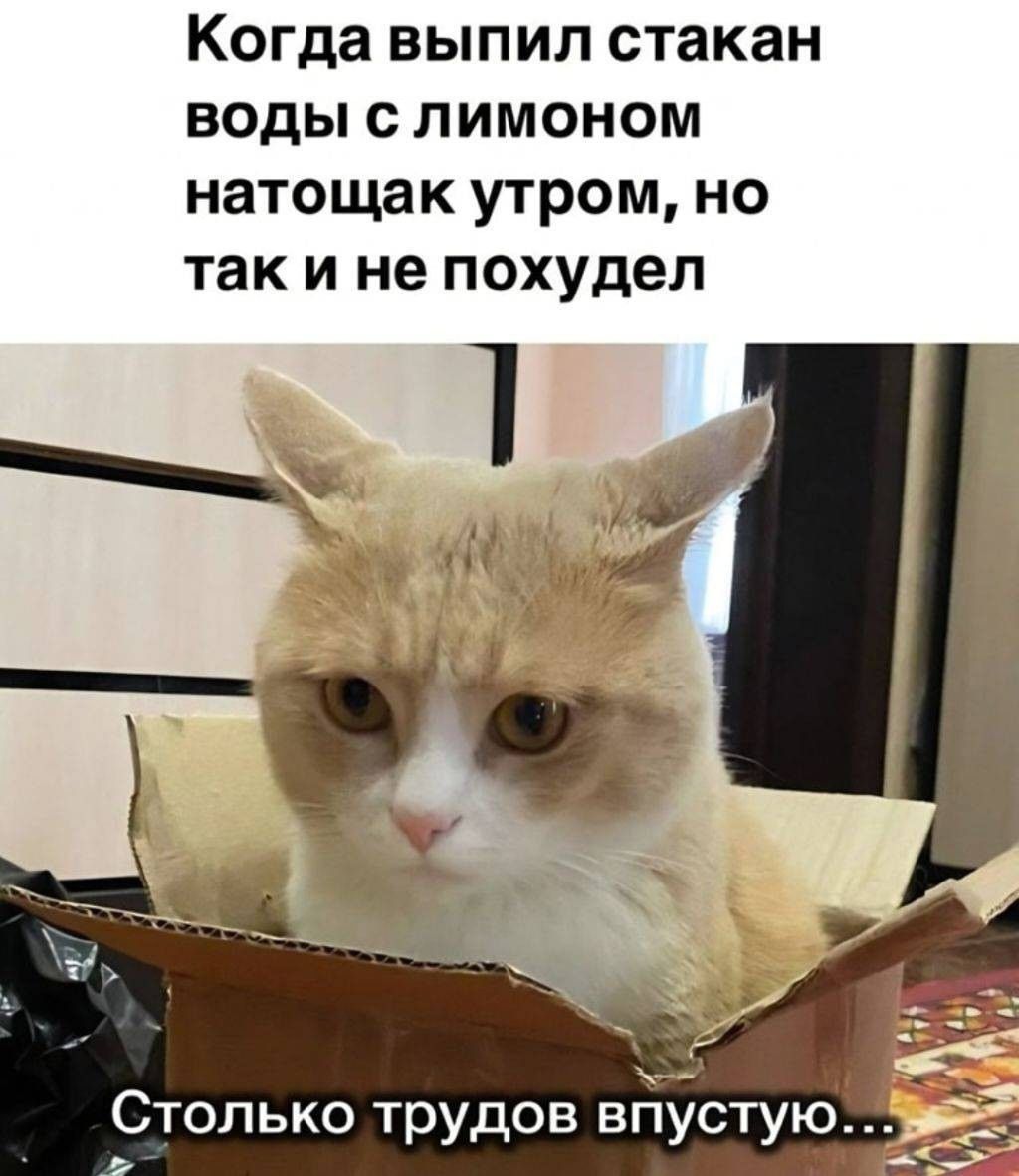 Когда выпил стакан воды с лимоном натощак утром, но так и не похудел
Столько трудов впустую...