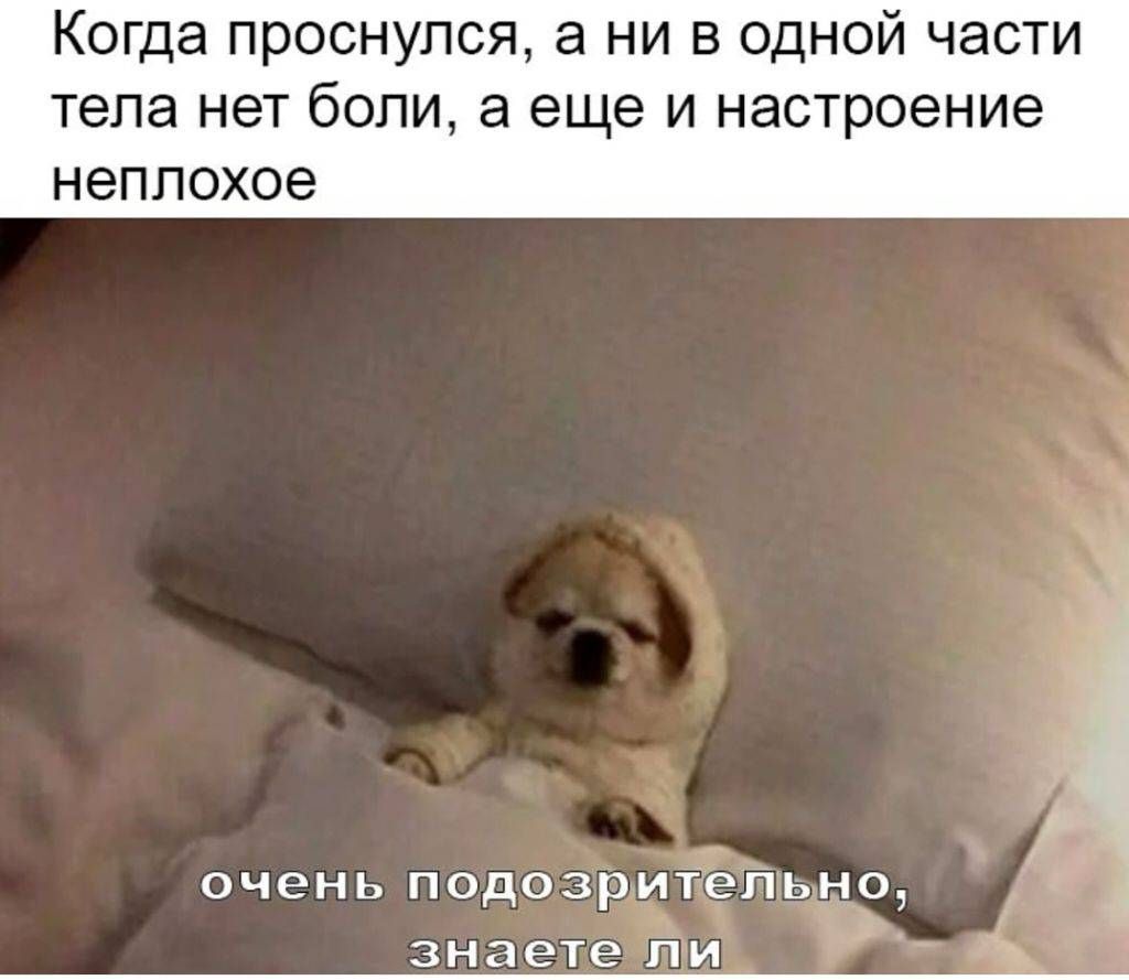 Когда проснулся, а ни в одной части тела нет боли, а еще и настроение неплохое
очень подозрительно, знаете ли