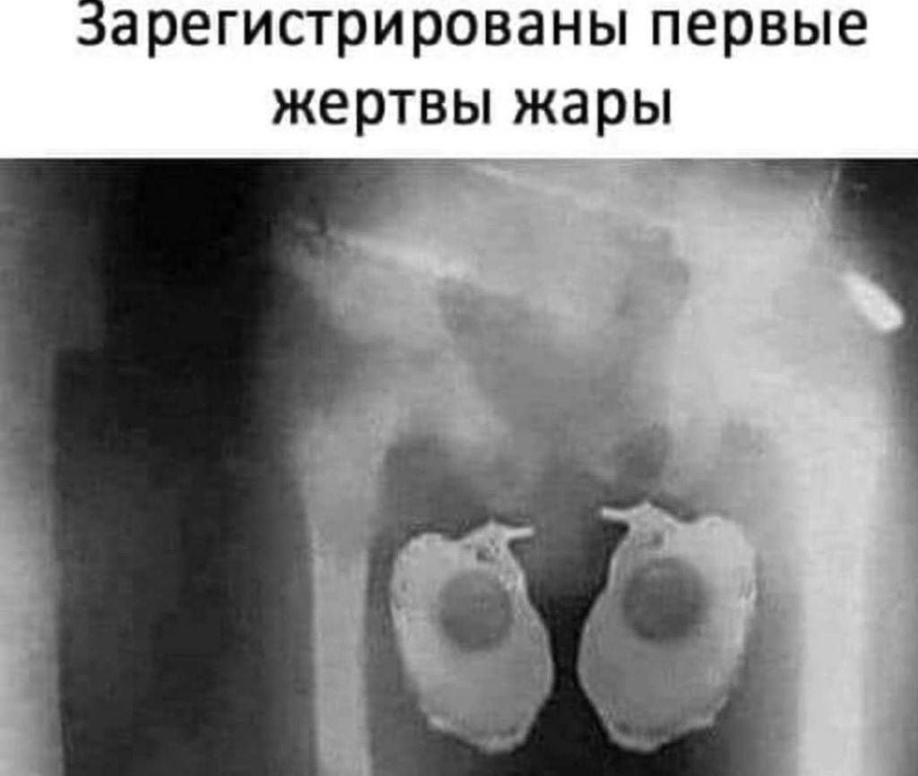 Зарегистрированы первые жертвы жары
