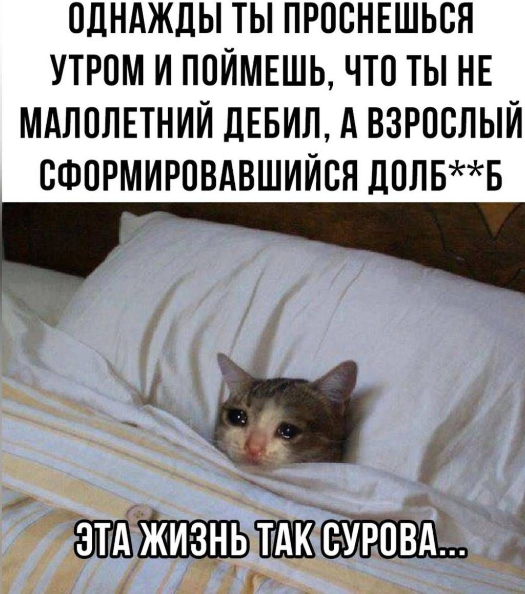 Однажды ты проснешься утром и поймешь, что ты не малолетний дебил, а взрослый сформировавшийся долб**б. Эта жизнь так сурова...