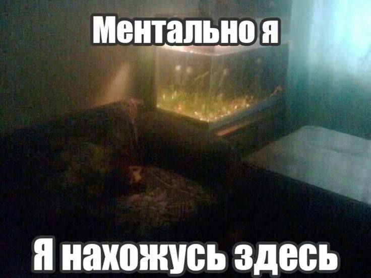 Ментально я
Я нахожусь здесь