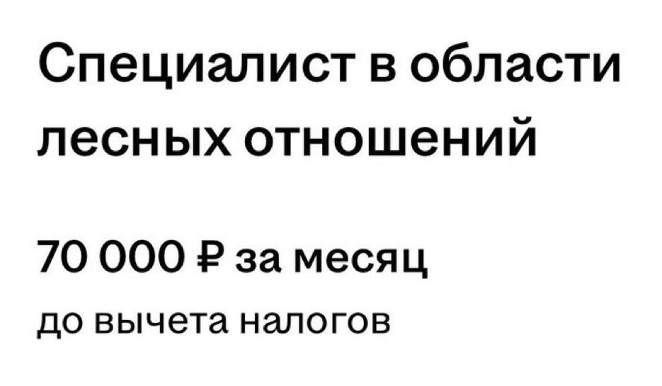 Специалист в области лесных отношений
70 000 ₽ за месяц
dо вычета налогов