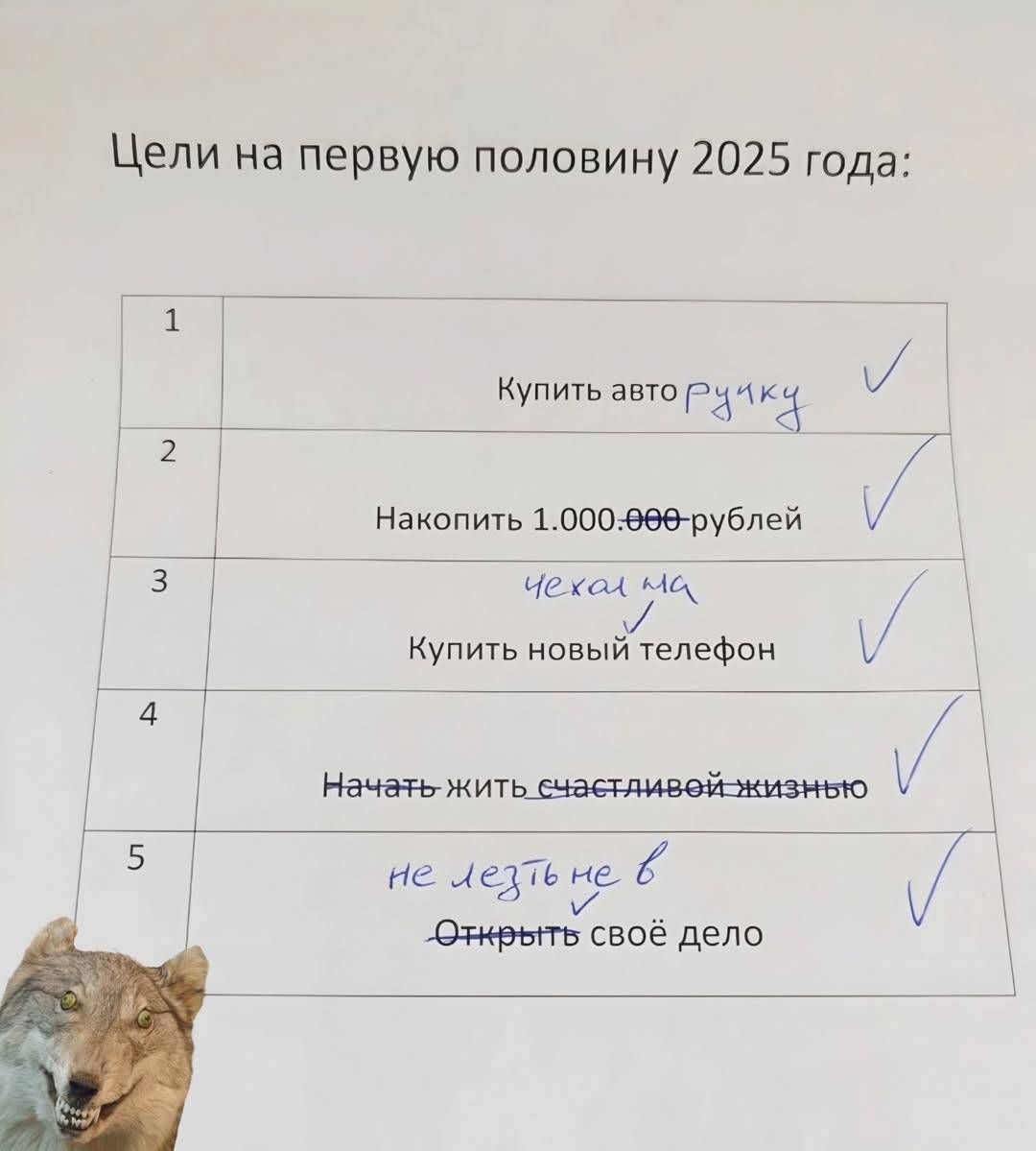 Цели на первую половину 2025 года:
1. Купить авто
2. Накопить 1.000.000 рублей
3. Купить новый телефон
4. Начать жить счастливой жизнью
5. Открыть свое дело